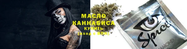 ECSTASY Алзамай