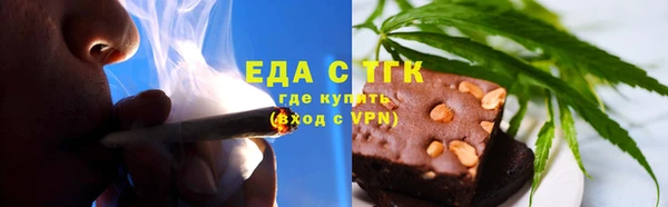 ECSTASY Алзамай