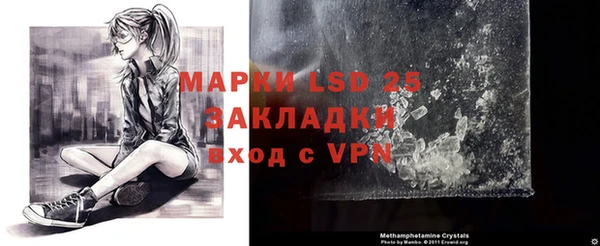 ECSTASY Алзамай